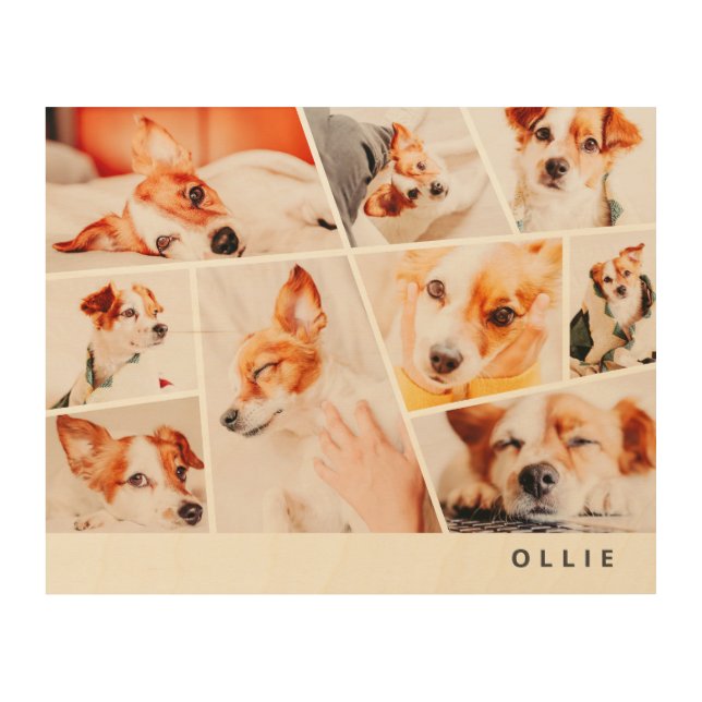 Pets Modern Simple Custom 9 Photos Collage Wood Wall Art (Front)
