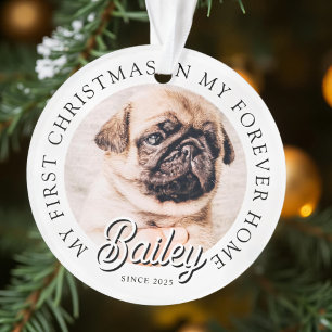 Pet's My First Christmas In Forever Home Modern Ornament