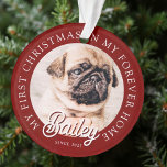 Pet's My First Christmas In Forever Home Modern Ornament<br><div class="desc">Design is composed of modern typography with sans serif and serif font. Add a custom photo of adopted pet and year.</div>