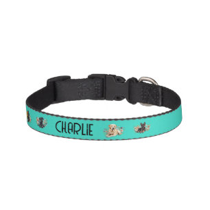 Pets Name and Four Photos Dog Collar
