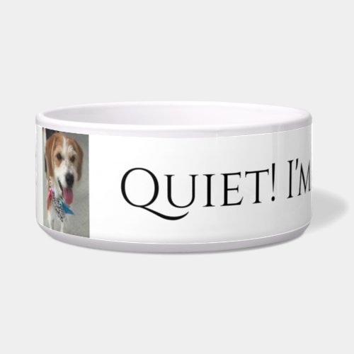 Pets Name  Photo Quiet Im Eating Funny Bowl