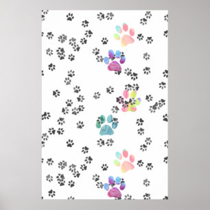 Pets Pawprints Poster