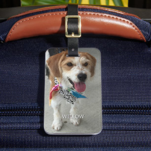 Pet's Photo & Name, Contact Info Luggage Tag