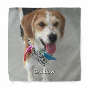 Pet's Photo or Child's Photo & Name Bandana