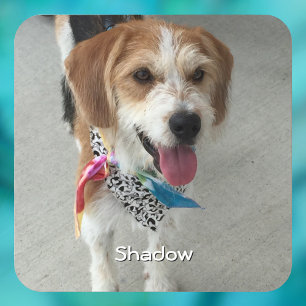 Pet's Photo or Child's Photo & Name Beverage Coaster