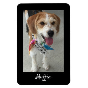 Pet's Photo or Child's Photo & Name, Black Magnet