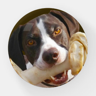 Pet's Photo Paperweight