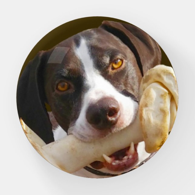 Pet's Photo Paperweight (Front)