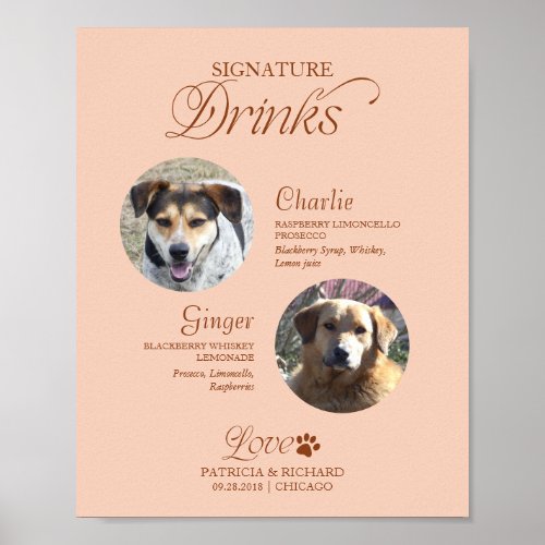 Pets Photo Signature Drinks Wedding Sign
