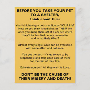 Pets Shelter Info Flyer