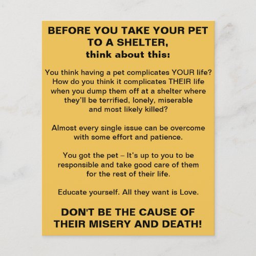 Pets Shelter Info Flyer