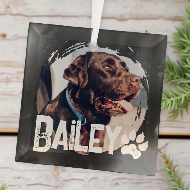 Pet's Simple Modern Cool Grunge Name and Photo Glass Ornament | Zazzle