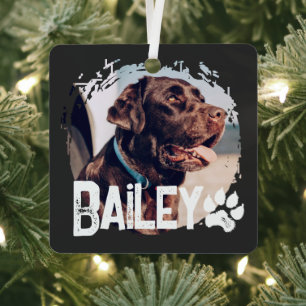 Pet's Simple Modern Cool Grunge Name and Photo Metal Ornament