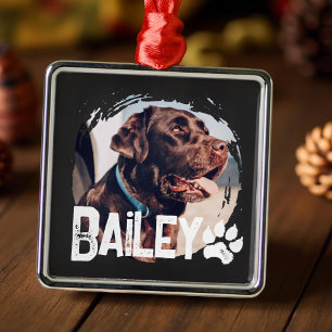 Pet's Simple Modern Cool Grunge Name and Photo Metal Ornament