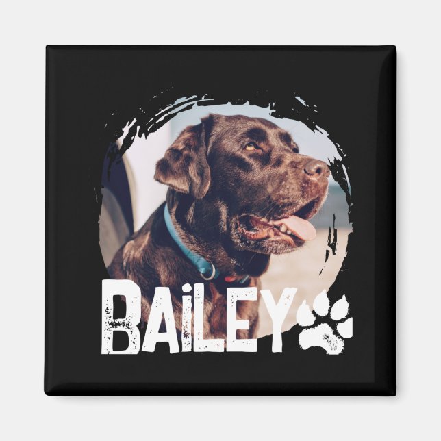 Pets Simple Modern Cool Nge Name And Photo  Magnet (Front)