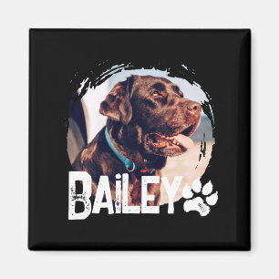 Pets Simple Modern Cool Nge Name And Photo  Magnet