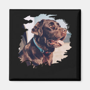 Pets Simple Modern Cool Tygraphy Name And Photo Magnet