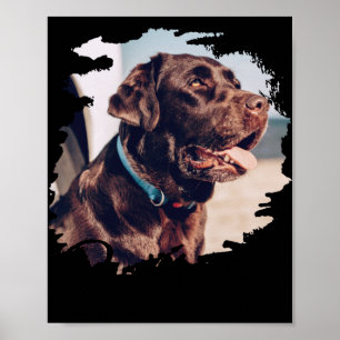 Pets Simple Modern Cool Tygraphy Name And Photo Poster