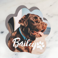 Pet's Simple Modern Cool Typography Name and Photo