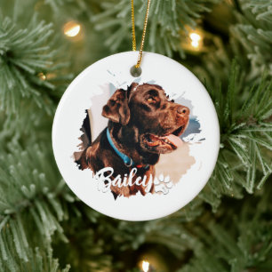 Pet's Simple Modern Cool Typography Name and Photo Ceramic Ornament