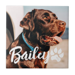 Pet's Simple Modern Cool Typography Name and Photo Ceramic Tile