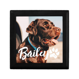 Pet's Simple Modern Cool Typography Name and Photo Gift Box