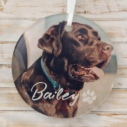 Pet&#39;s Simple Modern Cool Typography Name and Photo Glass Ornament