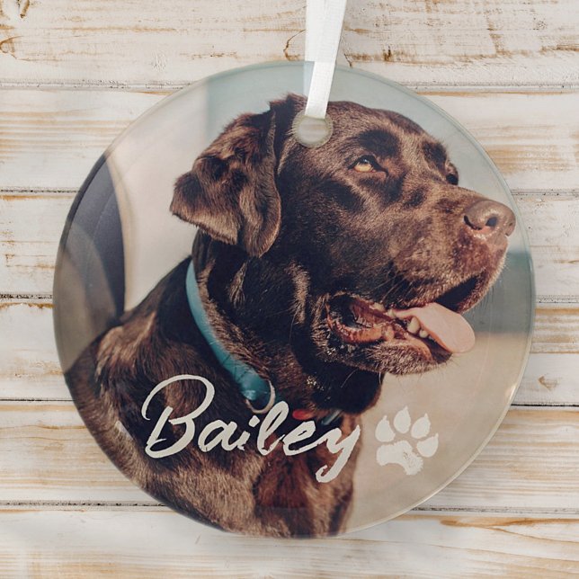 Pet's Simple Modern Cool Typography Name and Photo Glass Ornament (Creator Uploaded)