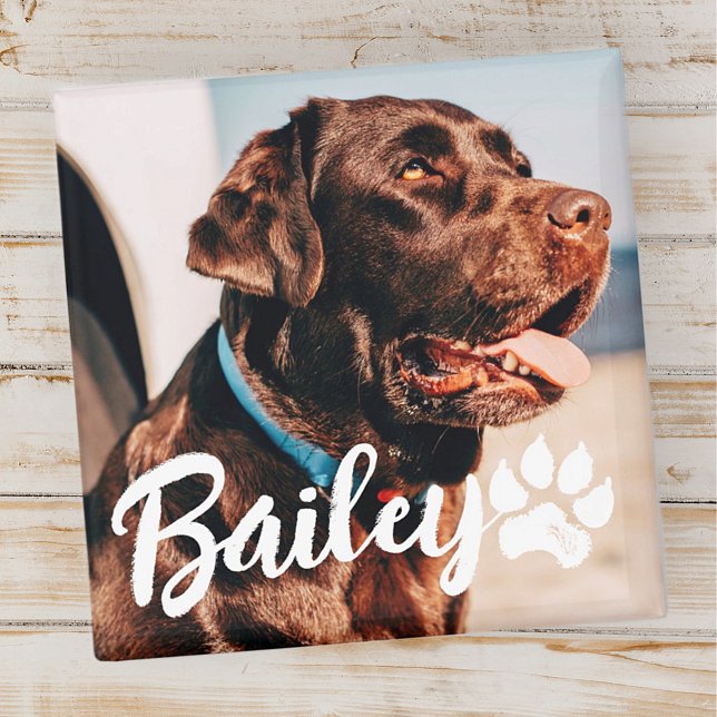 Pet's Simple Modern Cool Typography Name and Photo Magnet (Creator Uploaded)