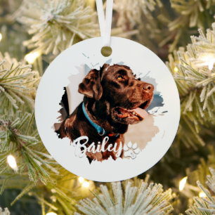 Pet's Simple Modern Cool Typography Name and Photo Metal Ornament