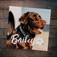 Pet's Simple Modern Cool Typography Name and Photo