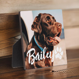 Pet&#39;s Simple Modern Cool Typography Name and Photo Plaque