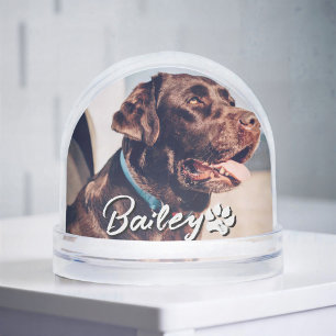 Pet's Simple Modern Cool Typography Name and Photo Snow Globe