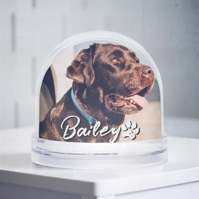 Pet's Simple Modern Cool Typography Name and Photo Snow Globe (Creator Uploaded)