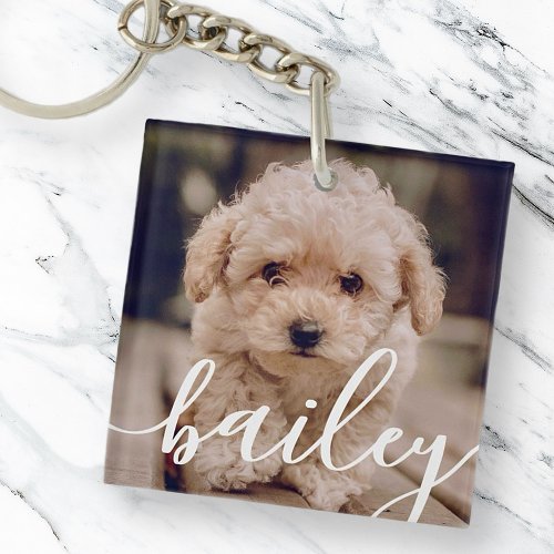 Pets Simple Modern Elegant Chic Name and Photo Keychain