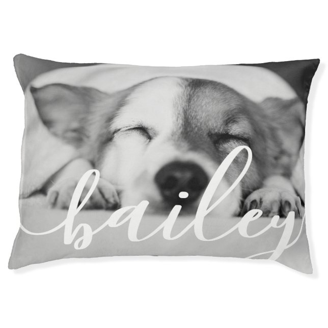 Pet's Simple Modern Elegant Chic Name and Photo Pet Bed (Front)