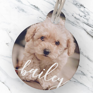 Pet's Simple Modern Elegant Chic Name and Photo Pet ID Tag
