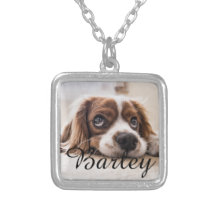 Pet's Simple Modern Elegant Chic Name and Photo 