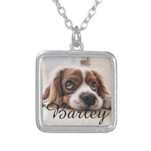 Pet's Simple Modern Elegant Chic Name and Photo  Silver Plated Necklace