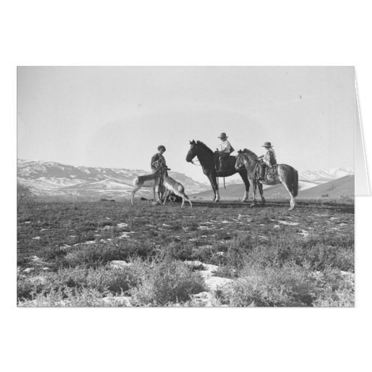Petting Antelopes Cards (Front Horizontal)