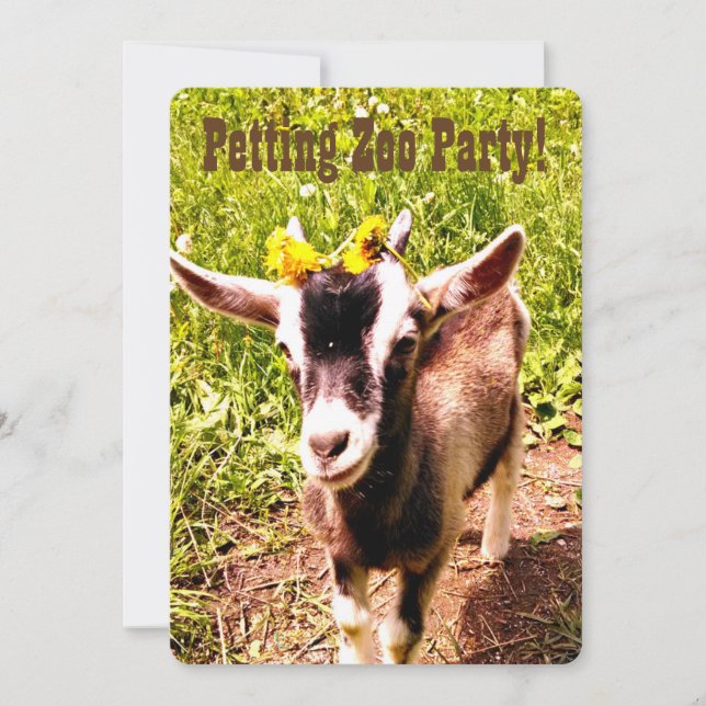Petting Zoo Party! Customize this invitation. Invitation (Front)