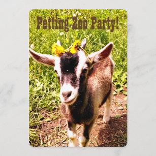 Invitations &amp; Announcements Barnyard Birthday Goat Birthday Goats Party ...