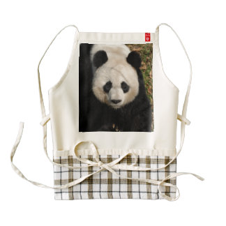 Petulant Panda Bear Zazzle HEART Apron
