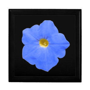 Petunia Blue and Yellow Gift Box