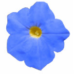Petunia Blue and Yellow Photo Sculpture<br><div class="desc">This photo sculpture features a photograph of a petunia flower that has been manipulated to make the centre of the flower glow bright yellow. The rest of the flower is an equally bright blue colour.</div>