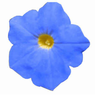 Petunia Blue and Yellow Photo Sculpture
