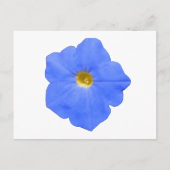 Petunia Blue And Yellow Postcard by Fallen_Angel_483 at Zazzle