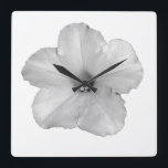 Petunia Flower Floral Christmas Decor Black White Square Wall Clock<br><div class="desc">Designed with white petunia photo in the background.</div>