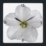 Petunia Flower Floral Christmas Decor White Cool Square Wall Clock<br><div class="desc">Designed with white petunia photo in the background.</div>