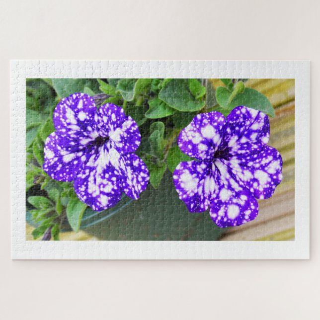Petunia flowers jigsaw puzzle (Horizontal)